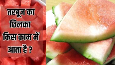 Kitchen Tips: कचरा नहीं तरबूज का छिलका! जापान में खरीदकर घर ले जा रहे लोग, कारण जान चौंक जाएंगे