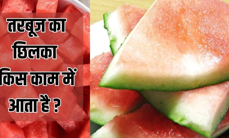 Kitchen Tips: कचरा नहीं तरबूज का छिलका! जापान में खरीदकर घर ले जा रहे लोग, कारण जान चौंक जाएंगे