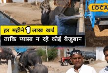 Pali News | बिंजा गांव में जल संकट और गौ सेवा
