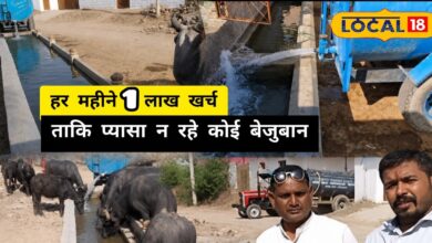 Pali News | बिंजा गांव में जल संकट और गौ सेवा