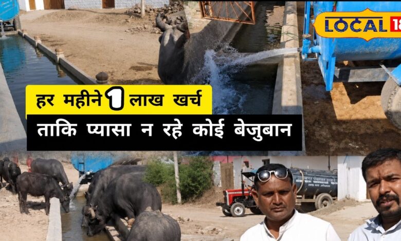 Pali News | बिंजा गांव में जल संकट और गौ सेवा