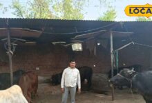 Success Story: 2 हेक्टेयर खेती से सालाना 5.5 लाख की कमाई, किसान खेमचन्द बने मिसाल, जानें सफलता का मंत्र
