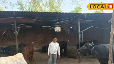 Success Story: 2 हेक्टेयर खेती से सालाना 5.5 लाख की कमाई, किसान खेमचन्द बने मिसाल, जानें सफलता का मंत्र