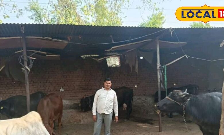 Success Story: 2 हेक्टेयर खेती से सालाना 5.5 लाख की कमाई, किसान खेमचन्द बने मिसाल, जानें सफलता का मंत्र