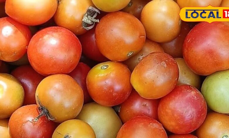 Tips and Tricks: गर्मियों में टमाटर हो रहे खराब? फ्रिज नहीं, ये देसी तरीका अपनाएं, लंबे समय तक रहेंगे फ्रेश