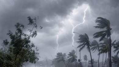 Today Weather Live | Aaj Ka Mausam Live: 17 राज्यों में आंधी का तांडव, UP-बिहार ओले-बिजली का प्रहार, 75KM की आंधी-बारिश, IMD का अलर्ट