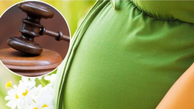 Unwanted Pregnancy Case: अनचाहे गर्भ पर दो कोर्ट दो फैसले; सुप्रीम कोर्ट से HC तक डॉक्टरों की शामत, जज साहब ने खूब लताड़ा