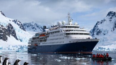 hantavirus outbreak | mv hondius cruise ship | चूहों से इंसान और फिर इंसान से इंसान, हंटावायरस का ये नया स्ट्रेन कितना घातक है? एमवी हाइडियस क्रूज