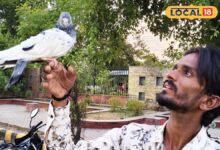 इंसानों से बढ़कर निकली 'शेरा' की मोहब्बत! युवक और कबूतर की अनोखी दोस्ती सोशल मीडिया पर हो रही वायरल