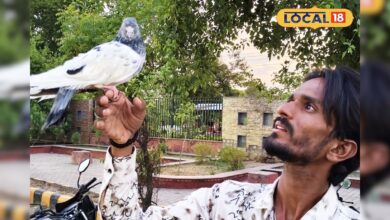 इंसानों से बढ़कर निकली 'शेरा' की मोहब्बत! युवक और कबूतर की अनोखी दोस्ती सोशल मीडिया पर हो रही वायरल