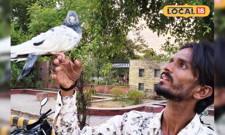 इंसानों से बढ़कर निकली 'शेरा' की मोहब्बत! युवक और कबूतर की अनोखी दोस्ती सोशल मीडिया पर हो रही वायरल