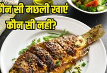 इन 8 मछलियों को खाना है बेहद फायदेमंद, प्रोटीन से होती हैं भरपूर, ये 6 फिश गलती से भी डाइट में न करें शामिल