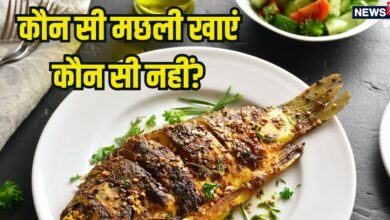 इन 8 मछलियों को खाना है बेहद फायदेमंद, प्रोटीन से होती हैं भरपूर, ये 6 फिश गलती से भी डाइट में न करें शामिल