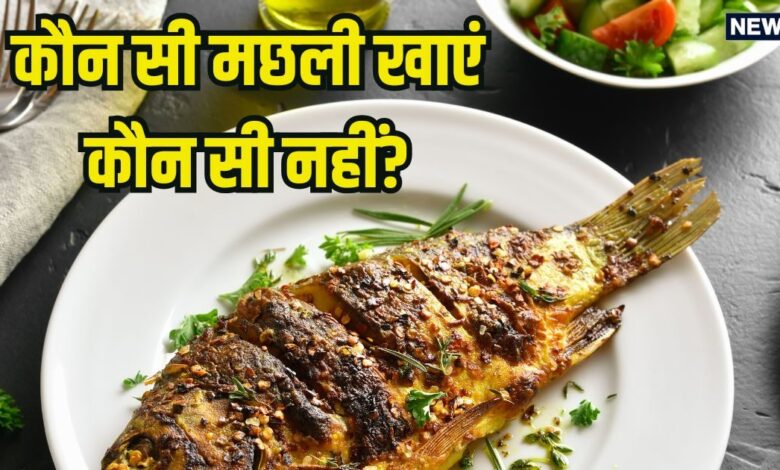 इन 8 मछलियों को खाना है बेहद फायदेमंद, प्रोटीन से होती हैं भरपूर, ये 6 फिश गलती से भी डाइट में न करें शामिल