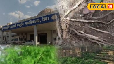 इस जड़ी-बूटी के अनगिनत फायदे! महिलाओं के लिए तो रामबाण, आयुर्वेदाचार्य ने खोला राज
