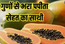इस फल को खाने से दूर होते हैं पेट के कई रोग, त्वचा और बालों को भी रखे हेल्दी, हर दिन करें सेवन, होंगे बड़े फायदे