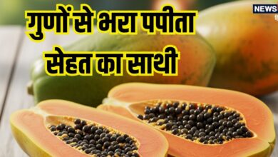 इस फल को खाने से दूर होते हैं पेट के कई रोग, त्वचा और बालों को भी रखे हेल्दी, हर दिन करें सेवन, होंगे बड़े फायदे