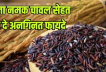 'काला नमक राइस' के आगे हर वेरायटी है फेल, एक-एक दाने में सेहत का खजाना, जबरदस्त हैं इस चावल के फायदे