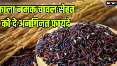 'काला नमक राइस' के आगे हर वेरायटी है फेल, एक-एक दाने में सेहत का खजाना, जबरदस्त हैं इस चावल के फायदे
