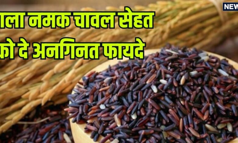 'काला नमक राइस' के आगे हर वेरायटी है फेल, एक-एक दाने में सेहत का खजाना, जबरदस्त हैं इस चावल के फायदे