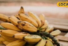 काले धब्बों वाला केला नुकसानदायक या फायदेमंद? एक्सपर्ट से समझें सब