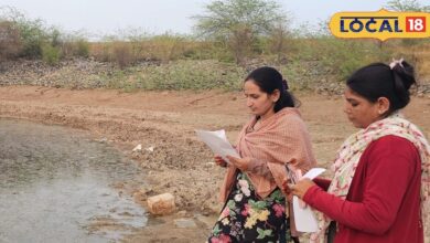 कैसे होती है वन्यजीवों की गणना? क्या है इसका वैज्ञानिक आधार, जानें पूरी प्रक्रिया