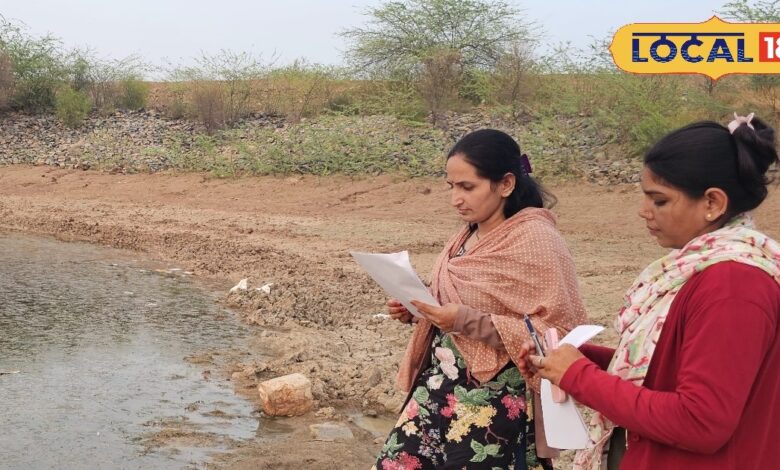 कैसे होती है वन्यजीवों की गणना? क्या है इसका वैज्ञानिक आधार, जानें पूरी प्रक्रिया
