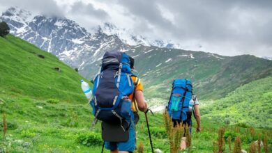क्या पहाड़ों पर जाना हार्ट के मरीजों के लिए सुरक्षित? समर वेकेशन मनाने जा रहे लोग कृपया ध्यान दें