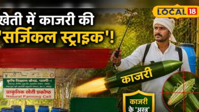 खेती में भी 'सर्जिकल स्ट्राइक'! अब पाकिस्तान की तरह दुश्मन कीटों का भी होगा सफाया; काजरी के 'अस्त्र' बनेंगे ढाल