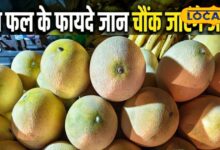 गर्मियों का सुपरफ्रूट है खरबूजा, लेकिन खाने से पहले जान लें ये खास बातें नहीं तो पड़ेगा पछताना