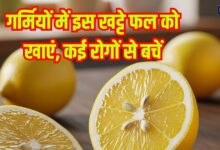 गर्मियों में विटामिन सी से भरपूर ये खट्टा फल सेहत के लिए अमृत समान, पानी में निचोड़ कर पिएं इसका रस, होंगे ये फायदे