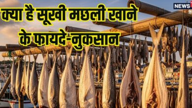 गलती से भी न खाएं ये मछली, शरीर में जाते बन जाएगी जहर, पेट दर्द, उल्टी, दस्त से होंगे परेशान, किडनी लिवर हो सकते हैं खराब!