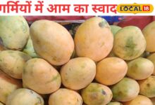 जयपुर का सबसे महंगा आम! फिर भी पेटी भर-भर कर ले जा रहे हैं लोग, जानें ऐसा क्या है इसमें खास? – News18 हिंदी