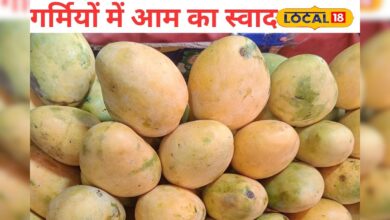 जयपुर का सबसे महंगा आम! फिर भी पेटी भर-भर कर ले जा रहे हैं लोग, जानें ऐसा क्या है इसमें खास? – News18 हिंदी