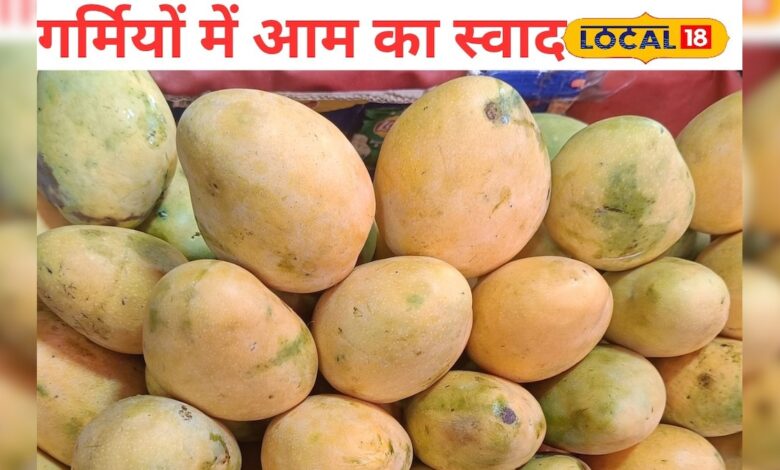 जयपुर का सबसे महंगा आम! फिर भी पेटी भर-भर कर ले जा रहे हैं लोग, जानें ऐसा क्या है इसमें खास? – News18 हिंदी