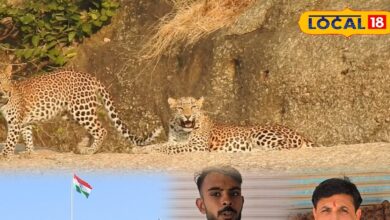 जवाई में थमेंगे ब्लास्ट, लेपर्ड की दहाड़ गूंजेगी, HC के सख्त फैसले से रिसॉर्ट माफिया पर लगाम