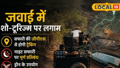 जवाई में सख्त नियमों का शिकंजा! हर सफारी गाड़ी में GPS जरूरी, लेपर्ड से छेड़छाड़ पर भरना पड़ेगा भारी जुर्माना