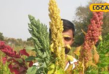 जालोर का यह सुपरफूड बना गेमचेंजर, कूट-कूटकर भरा है फाइबर और आयरन, दिल की सेहत के लिए है वरदान