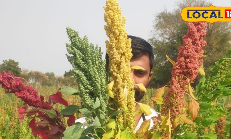 जालोर का यह सुपरफूड बना गेमचेंजर, कूट-कूटकर भरा है फाइबर और आयरन, दिल की सेहत के लिए है वरदान