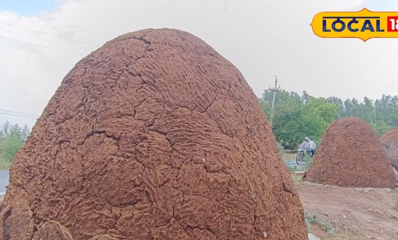 न बिजली, न फ्रिज! मिट्टी और गोबर के ‘बिटोरा’ में सालों तक सुरक्षित रहता है सामान, गांव का अनोखा जुगाड़