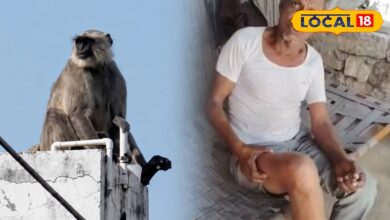 पाली का ये कैसा VIP गांव? विधायक जी के गृह क्षेत्र 'बीजापुर' में बंदर का आतंक, लोग छतों पर दुबके