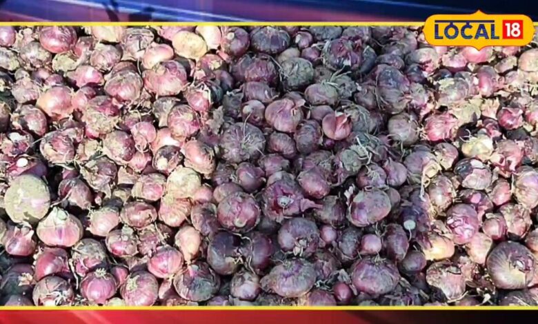 ask search icon