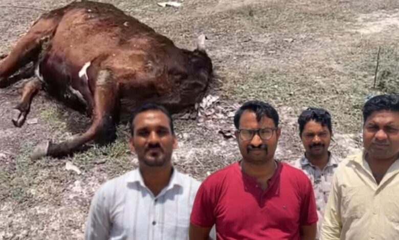बदबू का नरक और खूंखार कुत्तों का डेरा... सीकर के इस सरकारी स्कूल में ऐसा क्या हुआ कि 50 बच्चों ने एक साथ छोड़ दी पढ़ाई?