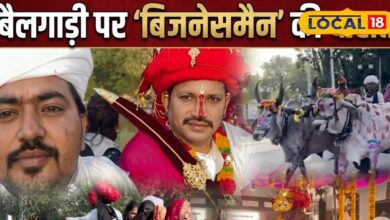 बैलगाड़ी पर निकली चीन के 'बिजनेसमैन' की बारात‌! पाली की गलियों में दिखा 'देसी स्वैग', शादी का वीडियो वायरल