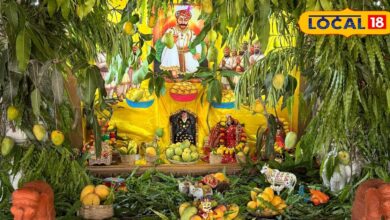 भक्ति का अनोखा रंग! आम की आंगी से सजे दरबार में उमड़ी श्रद्धालुओं की भीड़, सेवा का दिखा अनोखा रूप