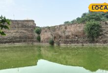 भरतपुर की लाइफलाइन कहे जाने वाली नहर बनी नाला! गंदगी में डूबी सुजान गंगा, खत्म होने की कगार पर पहुंची यह धरोहर