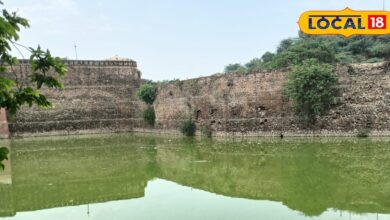 भरतपुर की लाइफलाइन कहे जाने वाली नहर बनी नाला! गंदगी में डूबी सुजान गंगा, खत्म होने की कगार पर पहुंची यह धरोहर