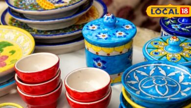 भरतपुर चीनी मिट्टी बर्तन उद्योग | Bharatpur Women Ceramic Pottery | How to earn from pottery