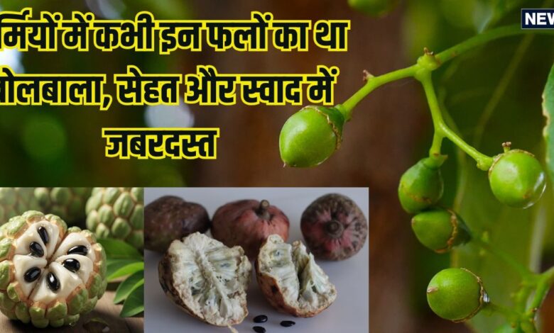 भारत में मिलने वाले ये 10 गर्मियों के फल, जिन्हें आप भुला चुके हैं, फायदे और स्वाद में जबरदस्त, आपके फलों की लिस्ट में हैं शामिल?