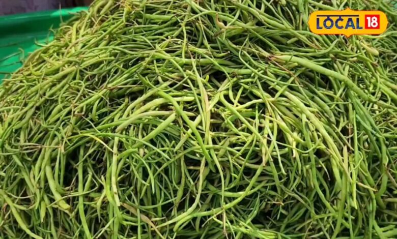 मौसम की मार से सूनी हुई खेजड़ी, सांगरी की कमी से ग्रामीण अर्थव्यवस्था और रोजगार पर असर